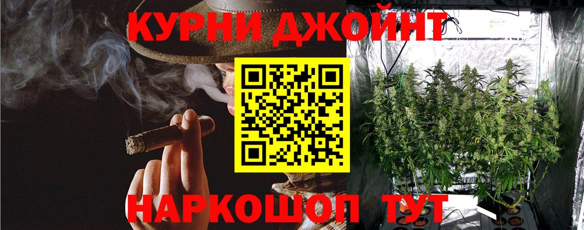 Бошки Шишки семена  Бошки Шишки White Widow  Луга  Вход с VPN 